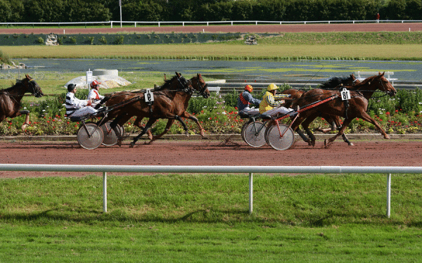 The escitement of harness racing