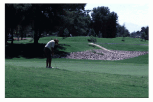 Golfer