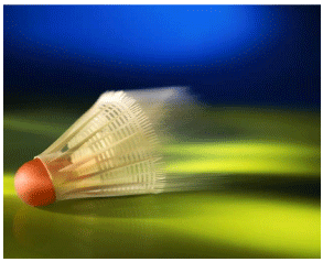 badminton shuttlecock